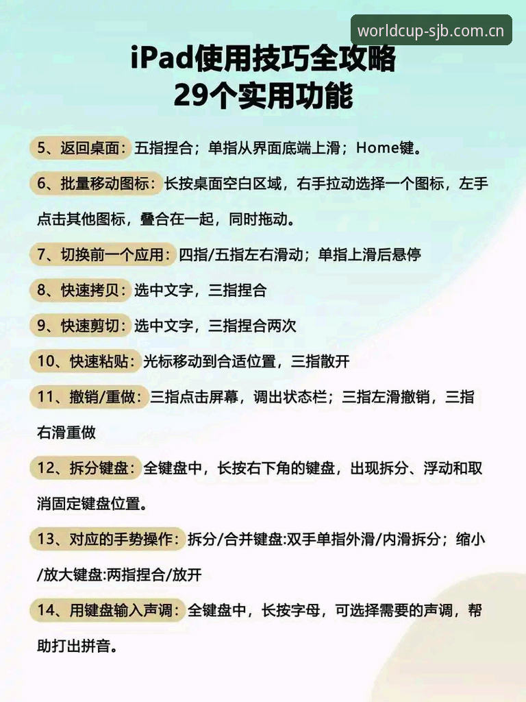 SJB官方版使用技巧完整指南：从入门到精通的实用经验分享